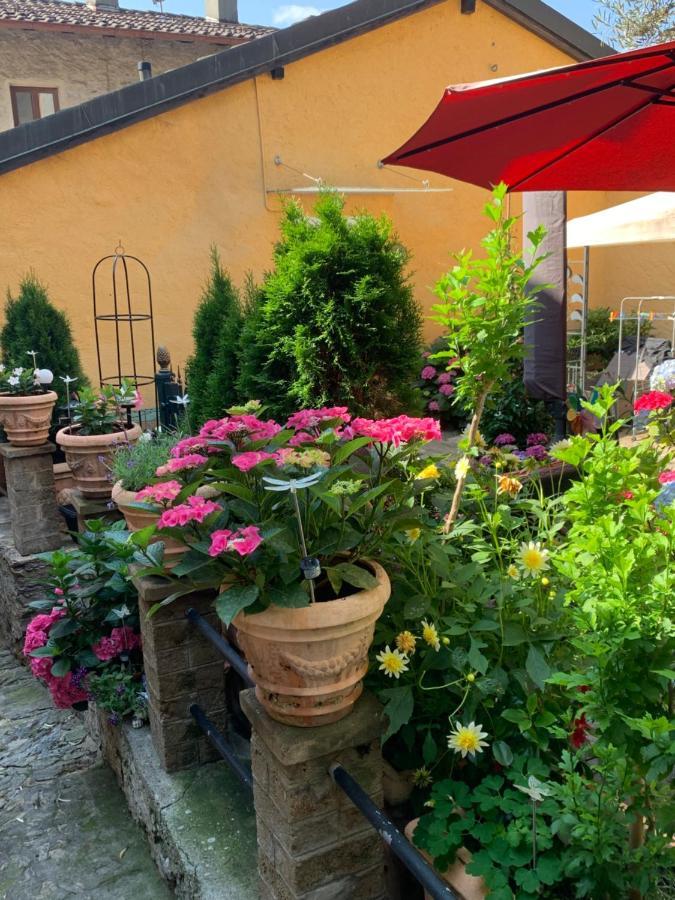 Ferienhaus, Rustico Auf Burg Locarno Bagian luar foto